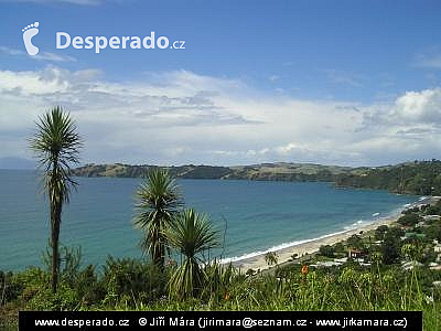 Ostrov Waiheke (Nový Zéland)