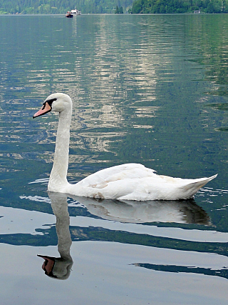 Hallstatt (Rakousko)