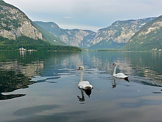 Hallstatt (Rakousko)