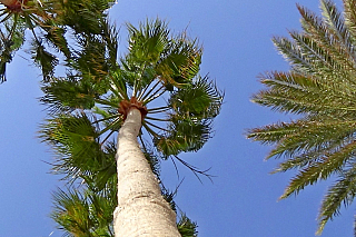 Agia Napa (Kypr)