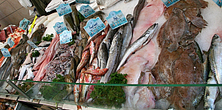 Guérande (Bretaň - Francie)