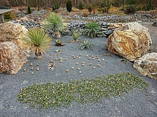 Arboretum Makču Pikču v obci Paseka (Olomoucký kraj - Česká republika)