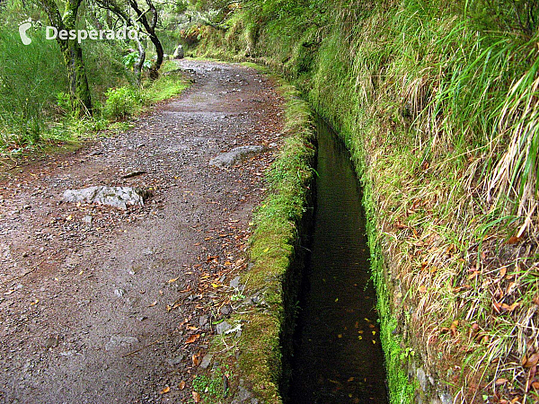 Levada de Risco (Madeira - Portugalsko)