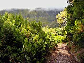 Levada de Risco (Madeira - Portugalsko)