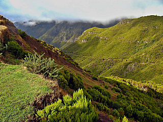 Levada de Risco (Madeira - Portugalsko)
