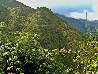 Levada de Risco (Madeira - Portugalsko)