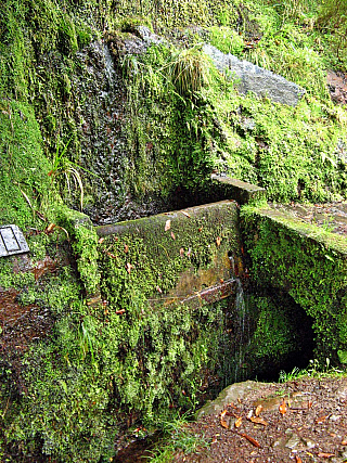 Levada de Risco (Madeira - Portugalsko)