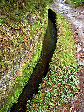 Levada de Risco (Madeira - Portugalsko)