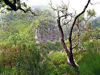 Levada de Risco (Madeira - Portugalsko)