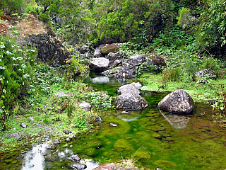 Levada de Risco (Madeira - Portugalsko)