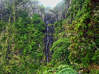 Levada de Risco (Madeira - Portugalsko)