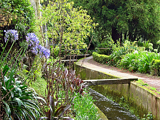 Horská oblast Encumeada (Madeira)