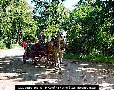 Zámek Pavlovsk u Petrohradu (Rusko)