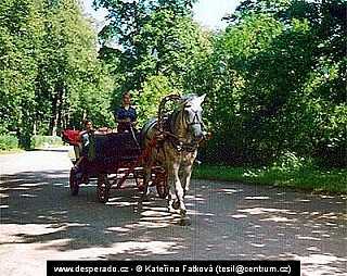 Zámek Pavlovsk u Petrohradu (Rusko)