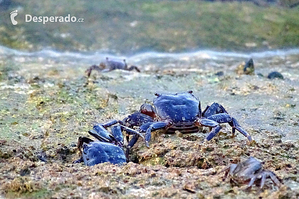 Lagos (Algarve - Portugalsko)