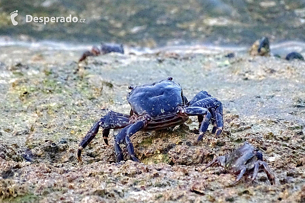 Lagos (Algarve - Portugalsko)