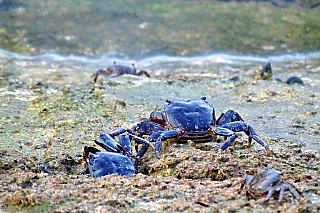 Lagos (Algarve - Portugalsko)