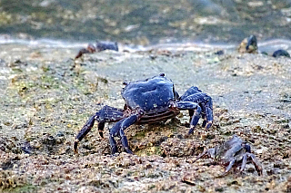 Lagos (Algarve - Portugalsko)