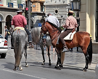 Granada (Andalusie - Španělsko 2013)