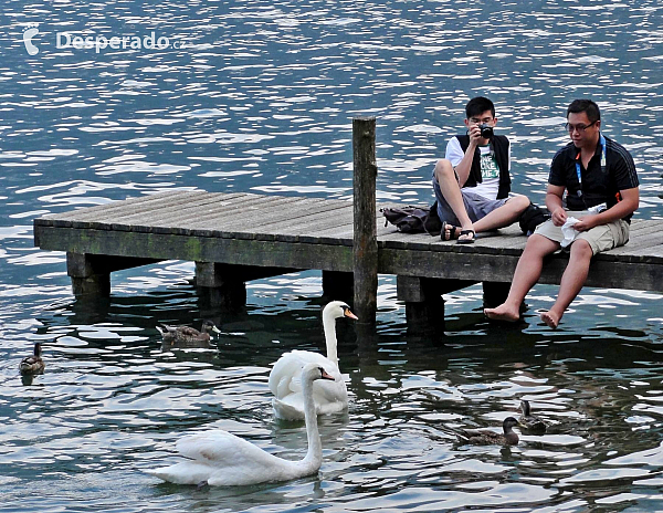 Hallstatt (Rakousko)