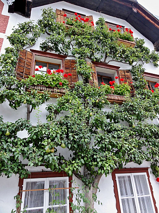 Hallstatt (Rakousko)