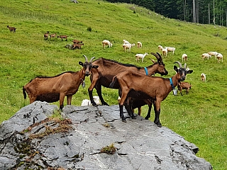 Nassfeld (Korutany - Rakousko)