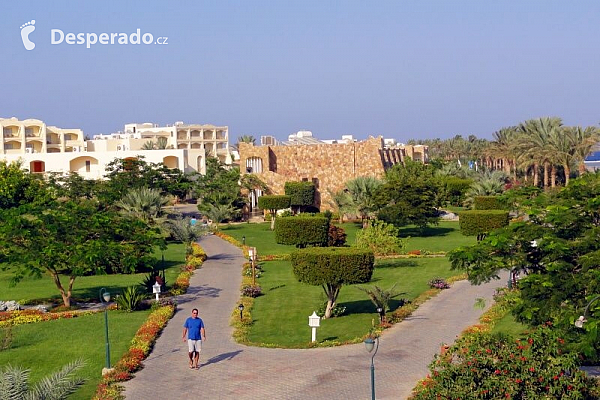 Hotel Brayka Bay Resort v Marsa Alam (Egypt)