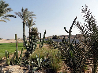 Hotel Brayka Bay Resort v Marsa Alam (Egypt)