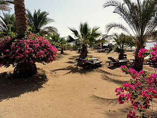 Hotel Brayka Bay Resort v Marsa Alam (Egypt)