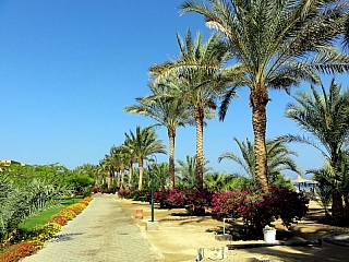 Hotel Brayka Bay Resort v Marsa Alam (Egypt)