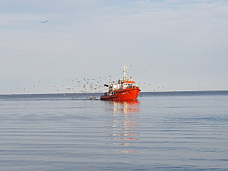 Rovinj (Istrie - Chorvatsko)