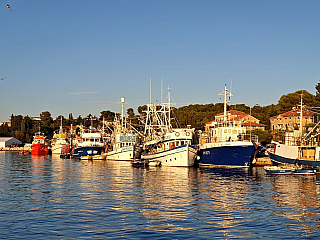 Rovinj (Istrie - Chorvatsko)