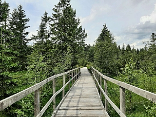 Božídarské rašeliniště (Česká republika)