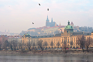 Praha (Česká republika)