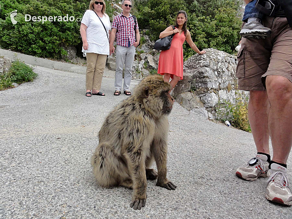 Gibraltar (Velká Británie)