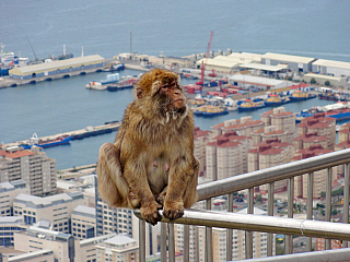 Gibraltar (Velká Británie)