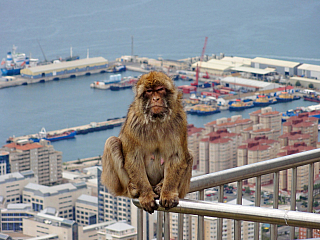 Gibraltar (Velká Británie)