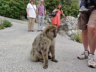 Gibraltar (Velká Británie)