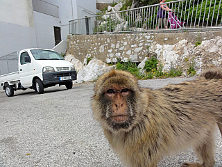 Gibraltar (Velká Británie)