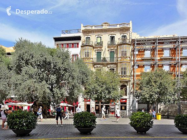 Palma de Mallorca (Mallorca - Španělsko)
