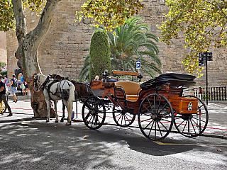 Palma de Mallorca (Mallorca - Španělsko)