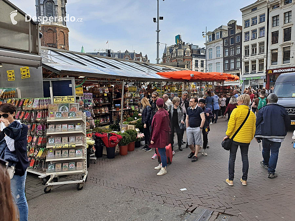 Amsterdam (Nizozemsko)