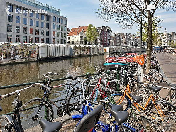 Amsterdam (Nizozemsko)