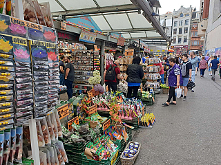 Amsterdam (Nizozemsko)