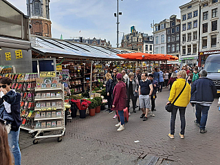 Amsterdam (Nizozemsko)