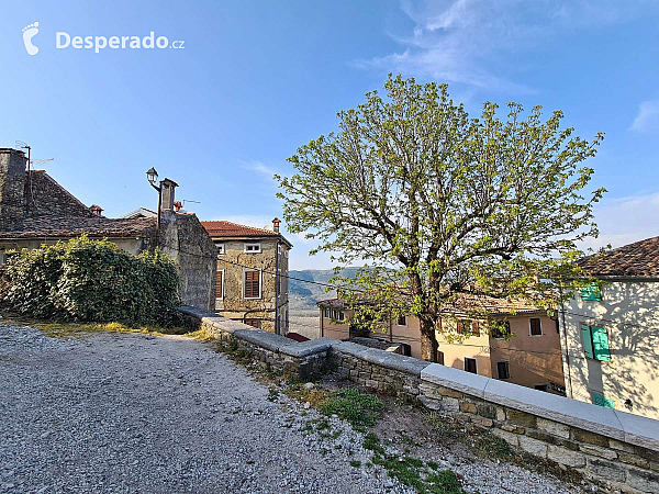 Motovun (Istrie - Chorvatsko)