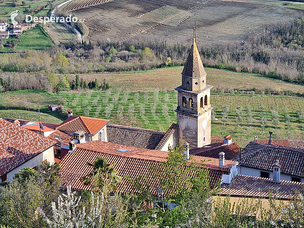 Motovun (Istrie - Chorvatsko)
