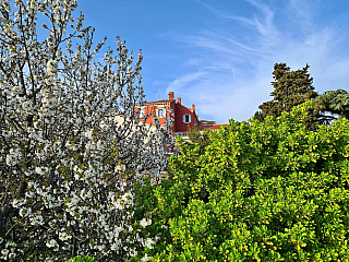 Motovun (Istrie - Chorvatsko)