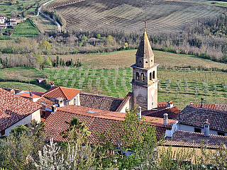 Motovun (Istrie - Chorvatsko)