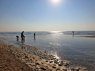 Noordwijk (Nizozemsko)